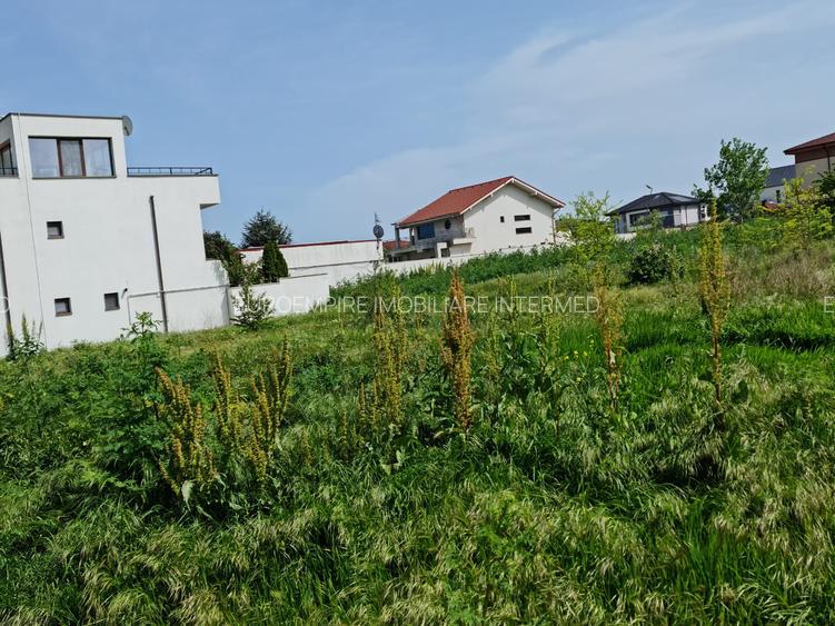 Teren de vanzare in Palazu Mare - 8