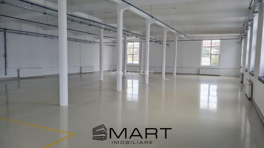 Spatii de inchiriat &acirc; Depozitare | Productie | Birouri Cisnadie - 2