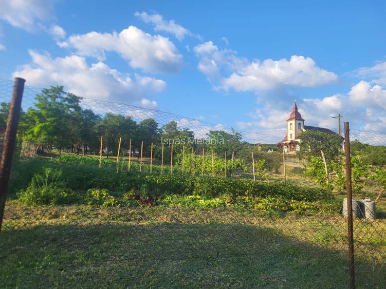 Vanzare casa sat Asinip, comuna Lopadea Noua, jud Alba, la 15km de Aiud - 5