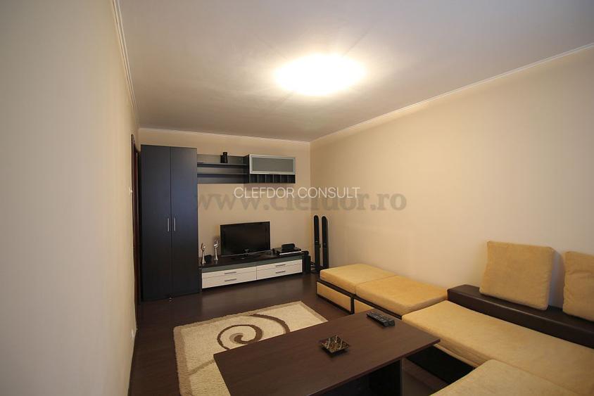 Teiul Doamnei - apartament cu 2 camere renovat 2018 - 3