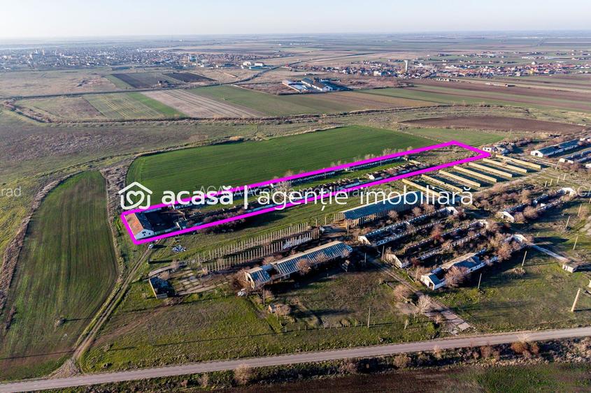 Teren 1.15 HA lângă Autostrada – Nădlac | clădiri+utilități - 2