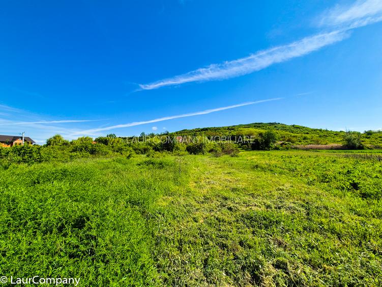 Teren intravilan Vranesti , Calinesti Arges - 3