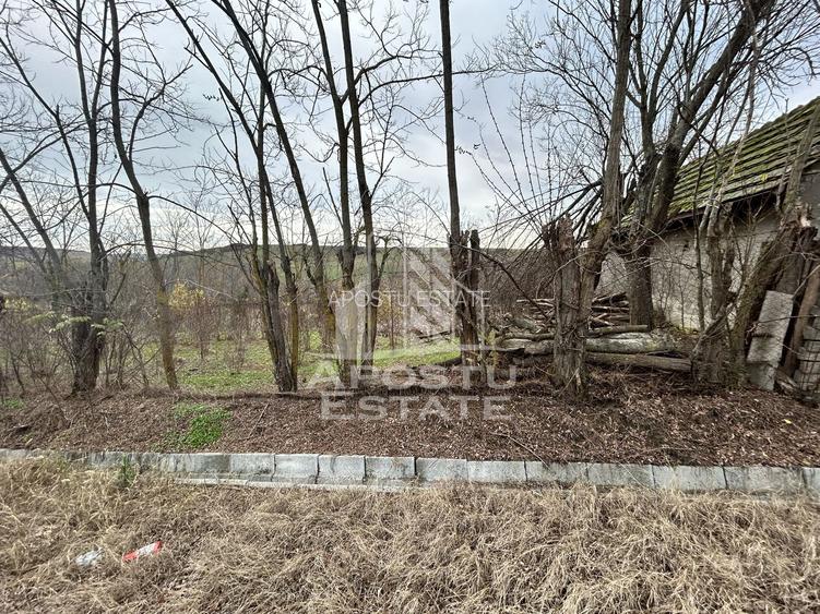 Teren 1942 mp, ideal casa de vacanta, alte activitati, Herneacova. - 3