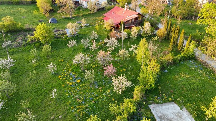 Teren intravilan Slanic Prahova - 4