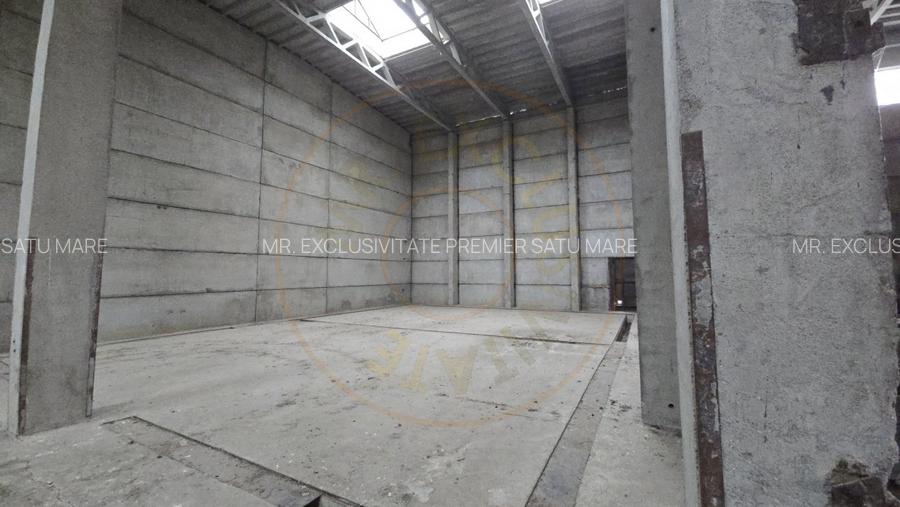 De Vanzare Hala/Depozit - 4