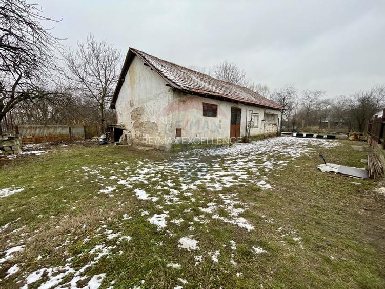 Teren intravilan Nedelea: 1247 mp cu deschidere de 61 ml - 4