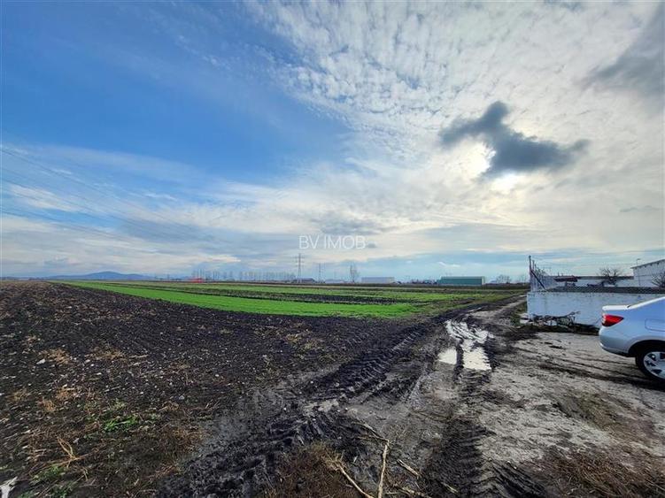 Vanzare Teren pretabil constructie hale, 28.100 mp, Halchiu - 4