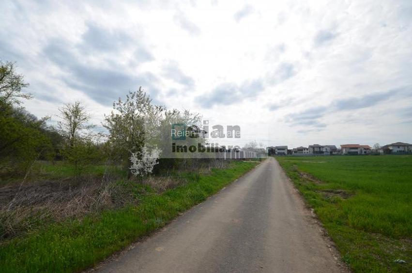 Snagov Crizantemelor Teren 3200mp, d 72ml, gaz, curent, asfalt, padure - 5