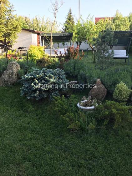 Luxury Residence with Pool and 1000 sqm Garden | Iancu Nicolae - 38