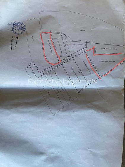 TEREN lac Caldarusani - 6