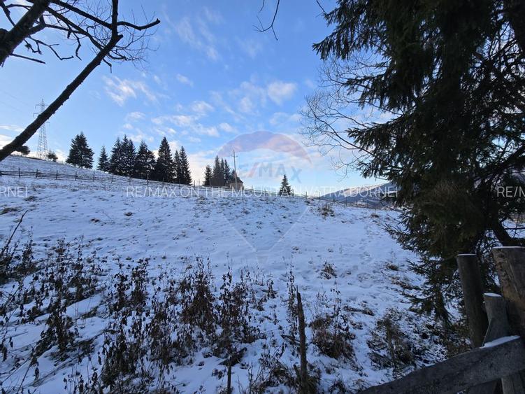 Teren 2,833mp Vatra Dornei / None - 4