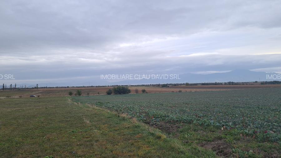Oază de Natură și Potențial: Teren de 48.100 mp lângă Delta din Carpați - 6