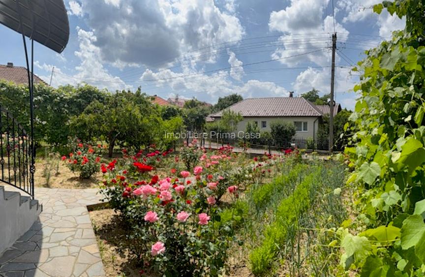 BAIA SPRIE - spre Cavnic Vila D+P+E 168mp + anexa cu teren 1526mp! - 9