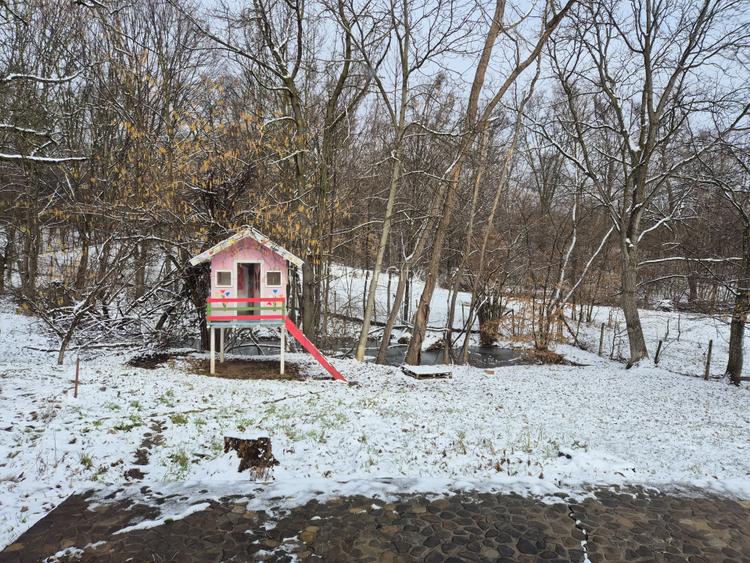 Moșia boierească din vârf de deal, Scorțeni - Prahova, comision 0% - 13