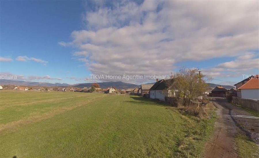 Teren intravilan in Suseni (str. Armeana) - 5