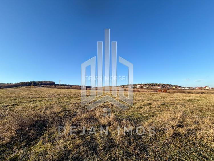 Teren Extravilan | 3.000 mp | Strada Pădurii - 4