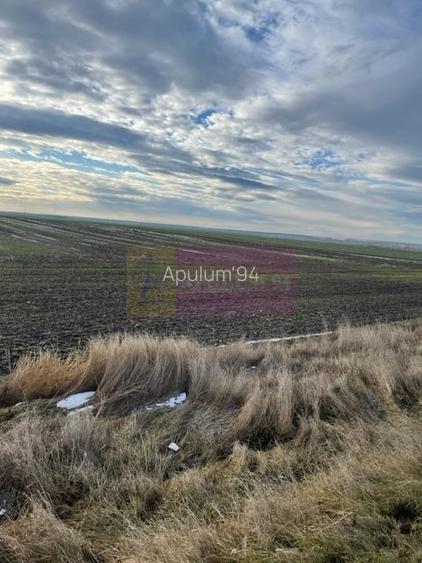 Teren Mihailesti E70- DN6 langa Dovinot. - 2