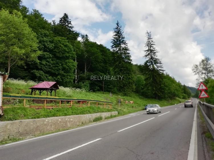 Teren Busteni, 3.999 mp, deschidere DN 1 aprox. 113 m, comision 0% - 4