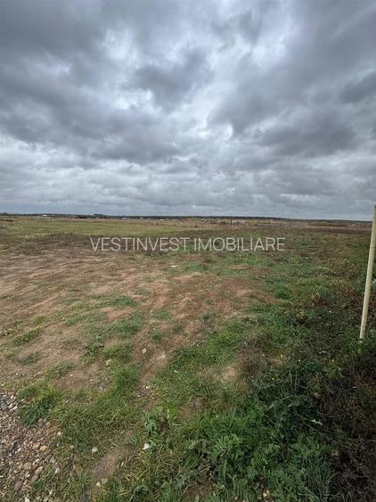 Teren intravilan Cihei 500 mp - 3