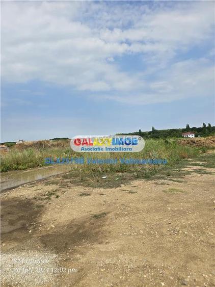 Teren Otopeni VI 085 - 8