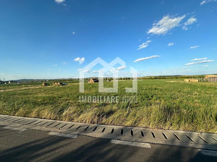 Teren INT construcție duplex / case cuplate 1503 mp - Jucu de Sus - 3