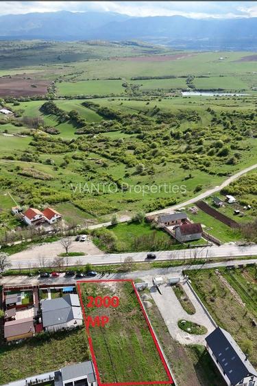 Comision 0% teren intravilan premium 2.000 mp la drum judetean | Daia - 2
