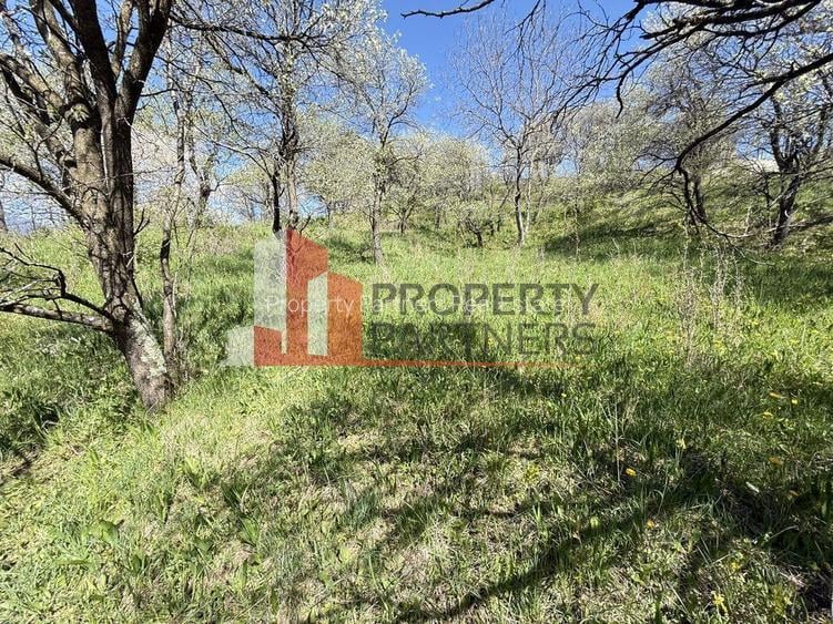 Teren 2500 mp Sohodol - 9