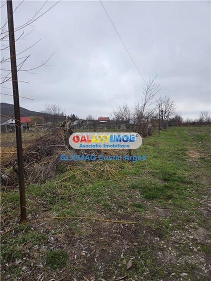 Vindem teren intravilan 1000 mp in Calinesti , dubla deschidere - 4