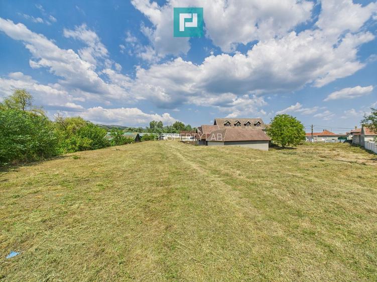 Pensiune cu teren 6464 mp în Geoagiu pe Râul Mureș - 17