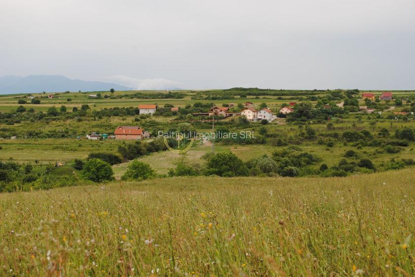 Teren 1,500 mp, vedere panoramica, Sibiu-Daia Noua - 4