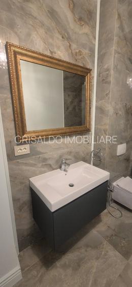 Proprietate deosebita Iancu Nicolae - 26