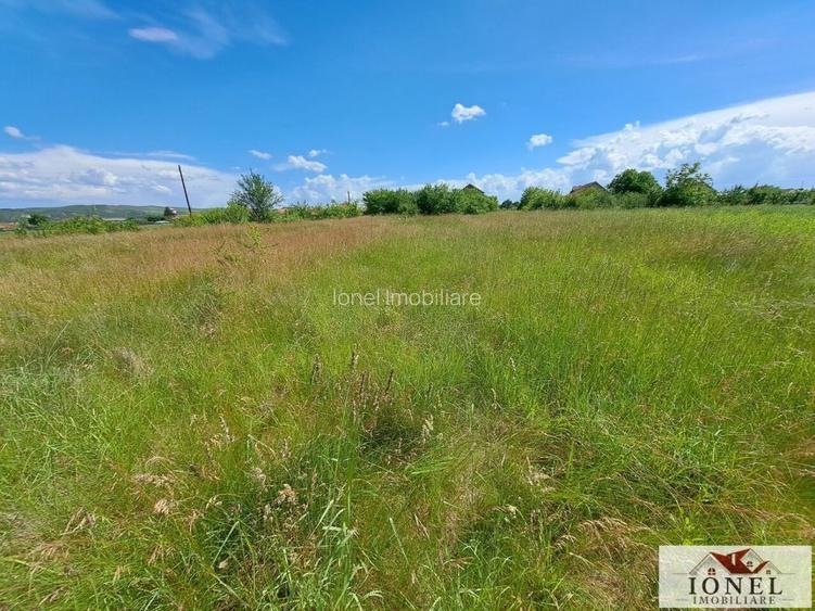 Vanzare teren in Teius - 27 euro/mp - 3