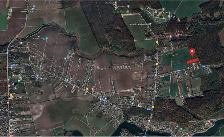 Ansamblul rezidential Frasinului, case la gri - 9