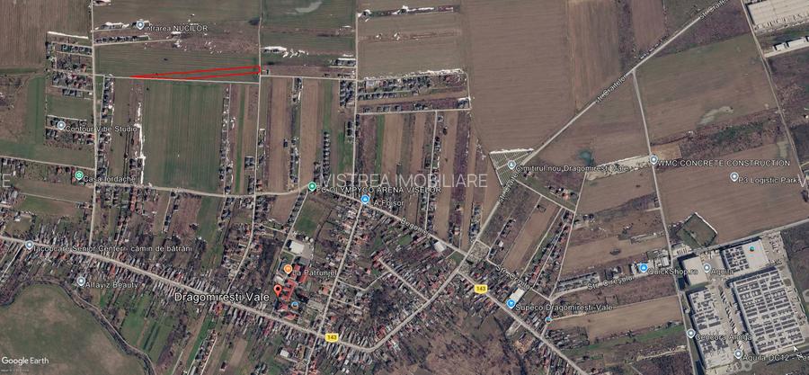 Dragomirești Vale teren intravilan 10.000 mp, asfalt si utilitati - 5