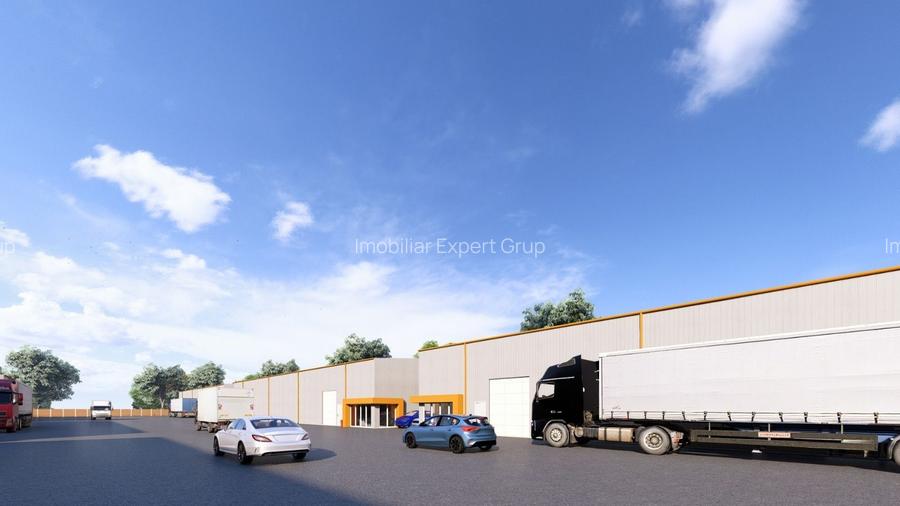 Hale de vanzare in Afumati - 5