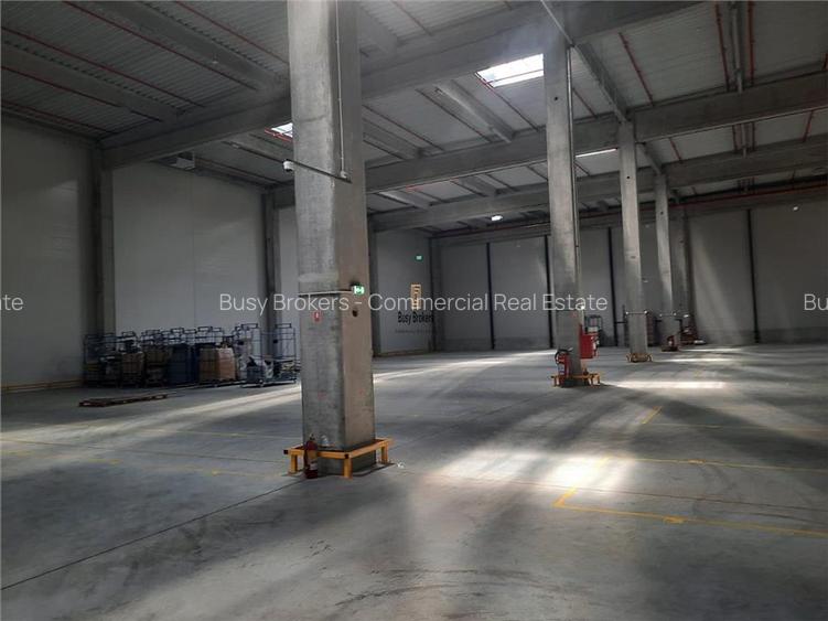 Spatiu Industrial - 4000 mp - Logistica - Productie - Depozitare - Distributie - 5