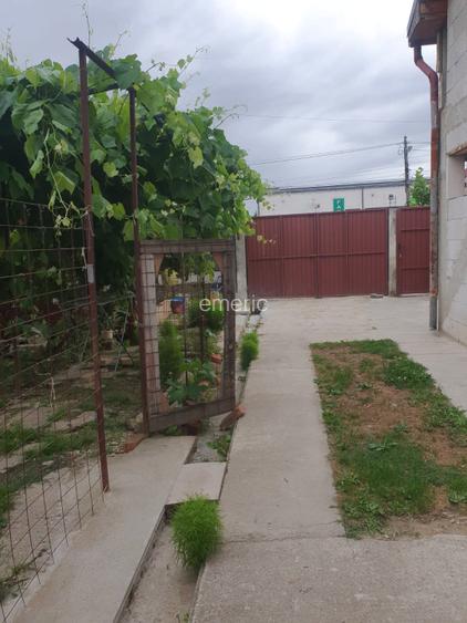 Casă P+M cu teren 744 mp în Dumbrava (Timiș) – Zonă excelentă, vizavi de facilit - 9