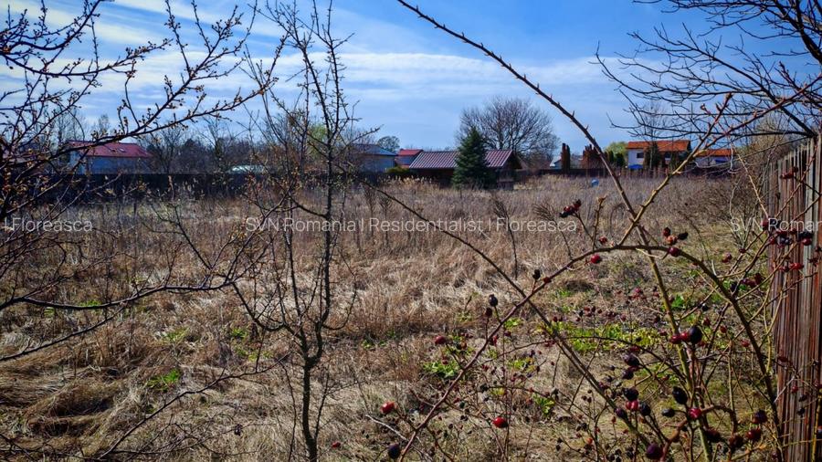 REL4001136 Teren de vanzare Gruiu l Lacul Snagov - 4