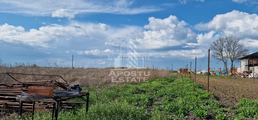 Teren intravilan langa case 5000 mp , apa , curent , Sacosu Turcesc - 2