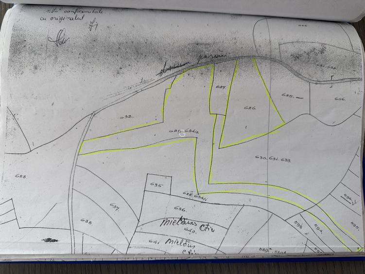De vanzare teren in zona Crint -Tilisca in golul alpin, direct de la proprietar! - 14