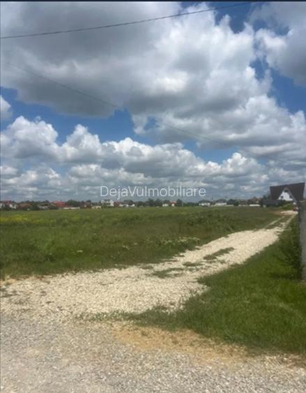 Teren Magurele 2403 mp Str Stejarului New 2025 - 3