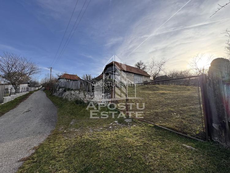 Casa batraneasca la munte, in Hunedoara, Tinutul Padurenilor, Cerbal - 5