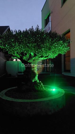 Vila Navodari, P+1, 2024 - 15