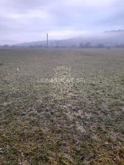 Teren 1698 mp-ideal investitie-Dumitrita, 15 km de Bistrita - 4