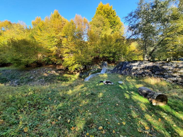 Teren 7.160 mp la marginea pădurii– Alexandru cel Bun,acces forestier cod 160785 - 2