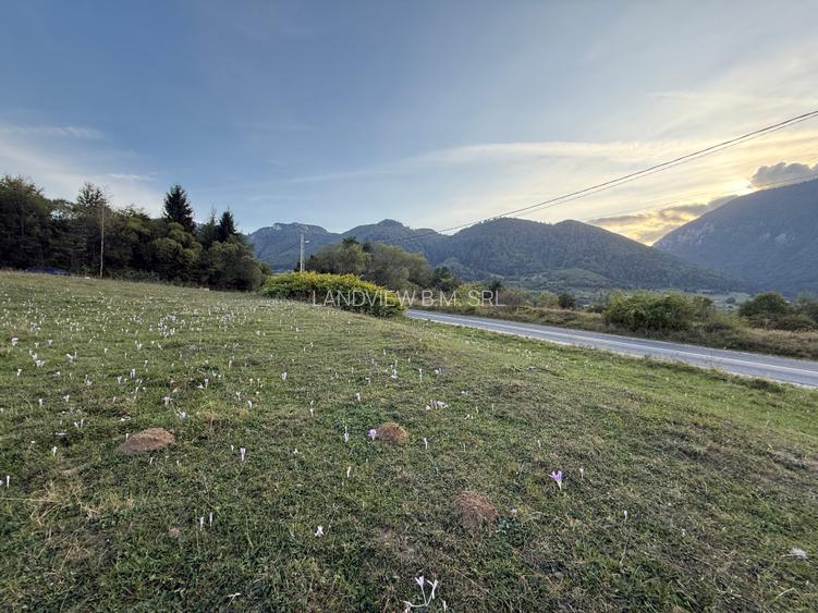 Teren intravilan 500 sau 1000 mp Bran-Tohanita la dum asfaltat - 20