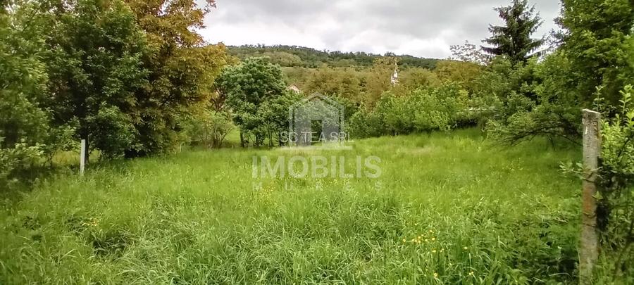 Teren intravilan | Budiu Mic | 994 mp - 2