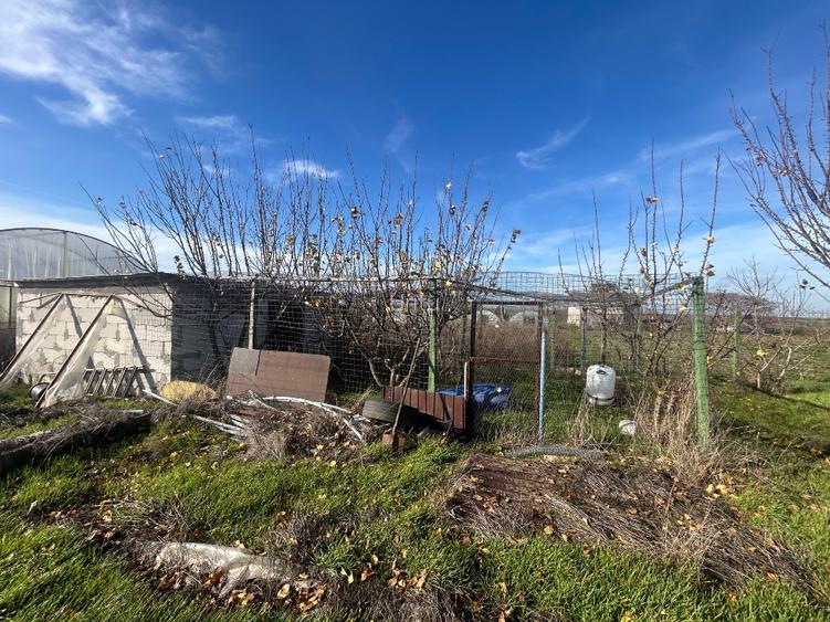 Teren extravilan 5000 mp - 5