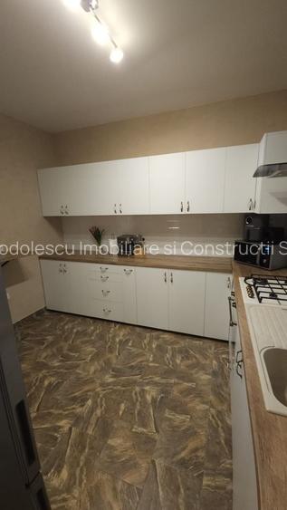 Vila individuala la 30 km de Timișoara - 10