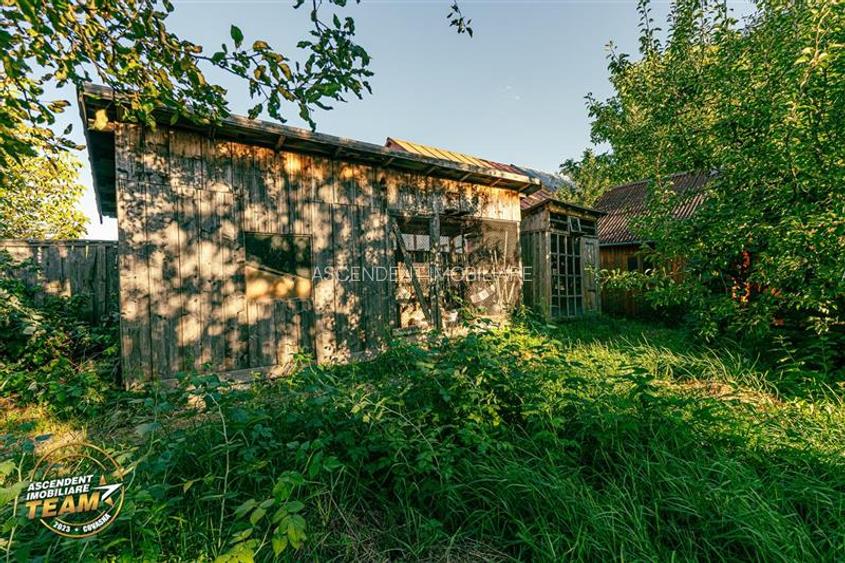 FILM! Casuta cu peste 800mp teren, areal estimabil, Lenin, Sfantu Gheorghe - 23